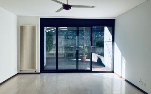 Bellinzona, spazioso e centrale monolocale con giardino