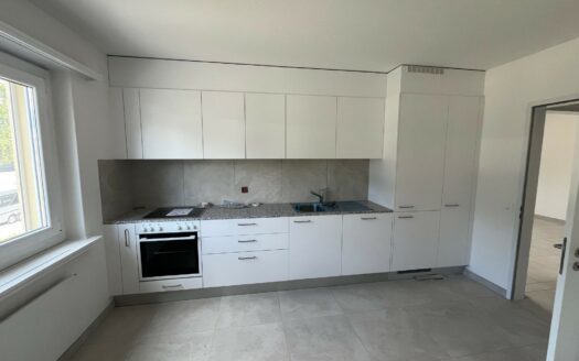 CADENAZZO – AFFITTASI AMPIO 4.5 LOCALI COMPLETAMENTE RISTRUTTURATO