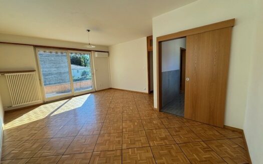 Bellinzona Nord, grande 4 1/2 locali in casa bifamigliare