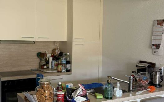 PONTE CAPRIASCA – AFFITTASI APPARTAMENTO DI 3.5 LOCALI