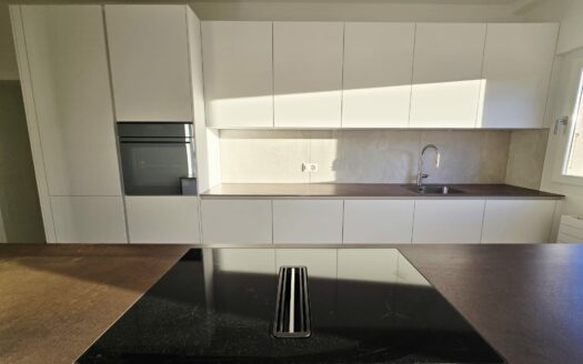 Bellinzona, affittasi attico rinnovato nel centro storico