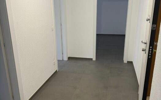 PREGASSONA – APPARTAMENTO DI 2.5 LOCALI COMPL. RISTRUTTURATO