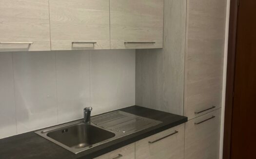 LUGANO – AFFITTASI APPARTAMENTO DI 3.5 LOCALI