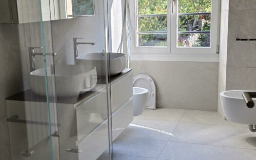 Bellinzona, appartamento 4 locali