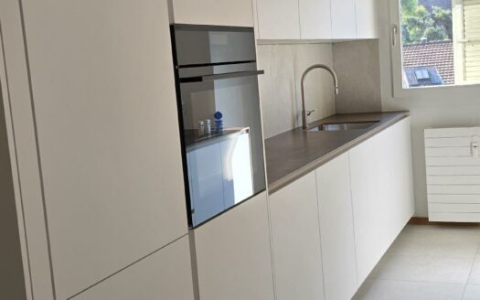 Bellinzona, appartamento 4 locali