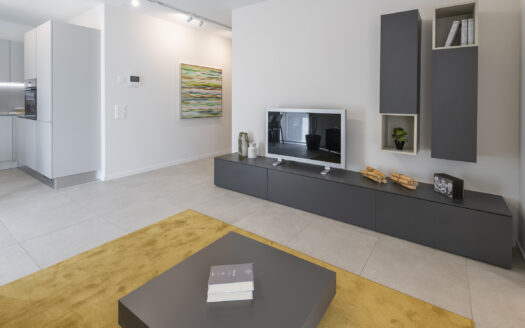 Bellinzona, affittasi 2 1/2 locali