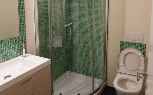 AGNO – AFFITTASI APPARTAMENTO DUPLEX DI 3.5 LOCALI