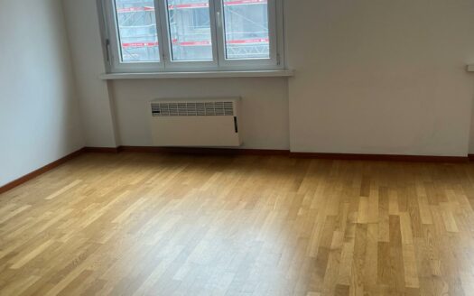 LUGANO – AFFITTASI MONOLOCALE