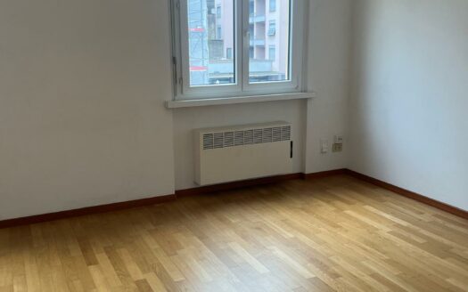 LUGANO – AFFITTASI MONOLOCALE