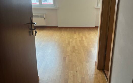 LUGANO – AFFITTASI MONOLOCALE