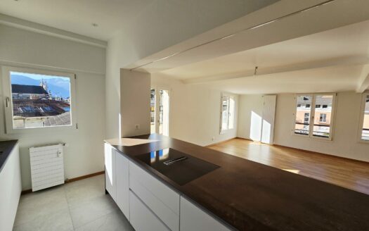 Bellinzona, affittasi attico rinnovato nel centro storico