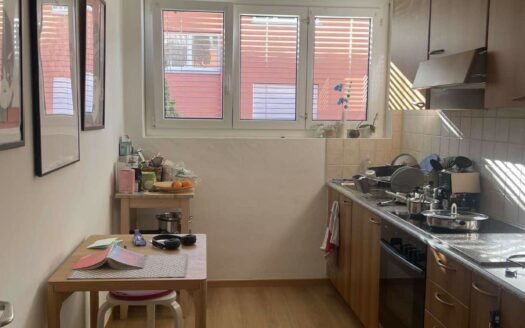 MENDRISIO – AFFITTASI APPARTAMENTO DI 2.5 LOCALI