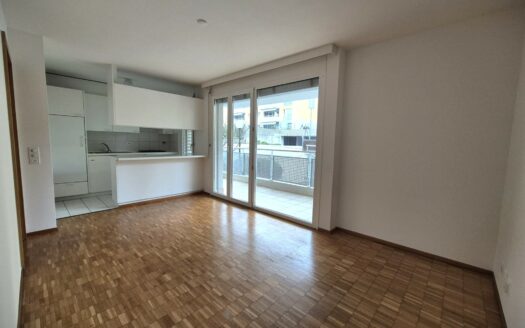 PREGASSONA – AFFITTASI APPARTAMENTO DI 2.5 LOCALI