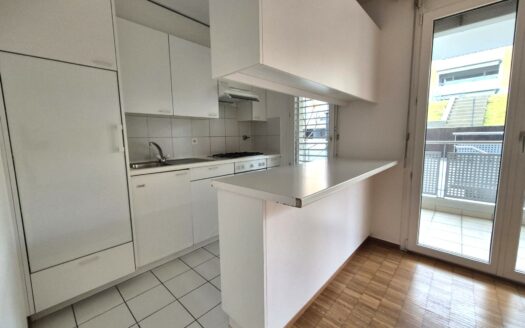 PREGASSONA – AFFITTASI APPARTAMENTO DI 2.5 LOCALI