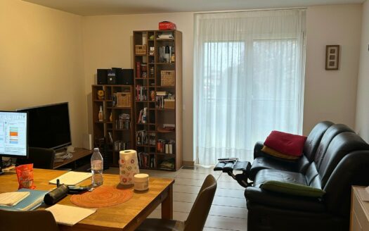 Giubiasco – Ampio appartamento 2.5 locali in zona centrale