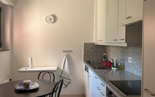 Affittasi luminoso appartamento di 3.5 locali – Bellinzona