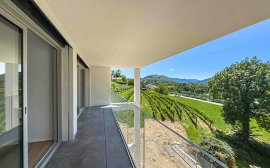 VEZIA – VENDESI APPARTAMENTO DI 2.5 LOCALI