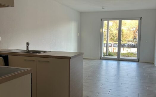 PONTE CAPRIASCA – AFFITTASI APPARTAMENTO DI 3.5 LOCALI CON GIARDINO