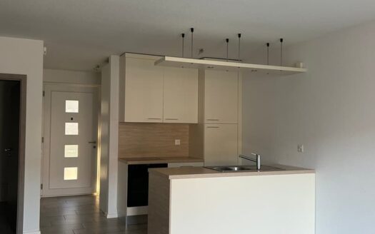 PONTE CAPRIASCA – AFFITTASI APPARTAMENTO DI 3.5 LOCALI CON GIARDINO