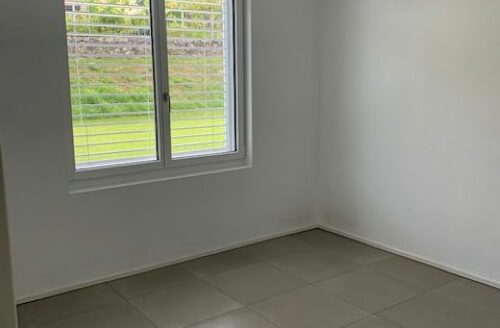 Affittasi appartamento di 4.5 locali – Arbedo