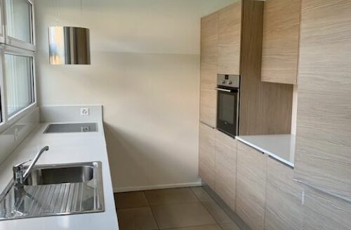 Affittasi appartamento di 4.5 locali – Arbedo