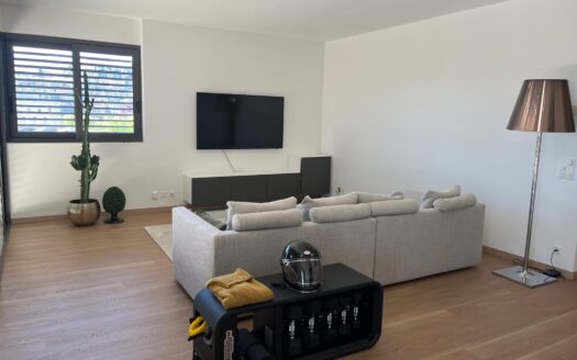 VIGANELLO – AFFITTASI MODERNO ATTICO DI 4.5 LOCALI