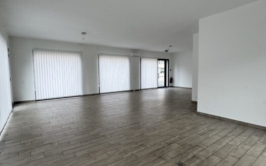 Bellinzona – affittasi luminoso locale commerciale al PT