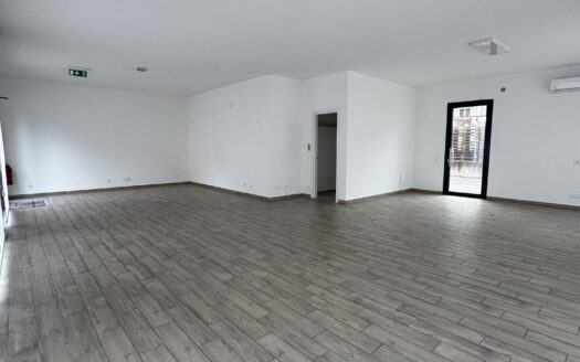 Bellinzona – affittasi luminoso locale commerciale al PT