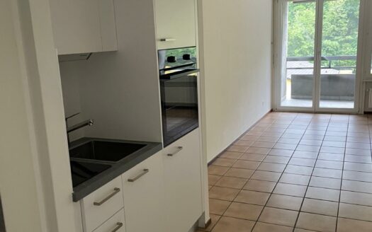 CHIASSO – APPARTAMENTO DI 1.5 LOCALI