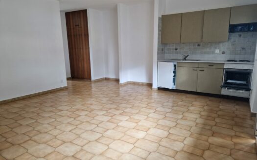 Affittasi appartamento di 2.5 locali – Bellinzona