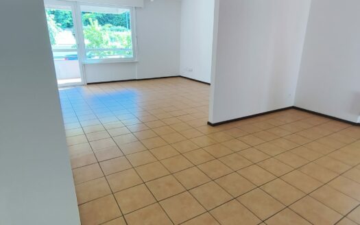 CHIASSO – LUMINOSO APPARTAMENTO DI 5 LOCALI