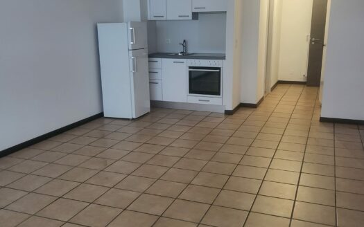 CHIASSO – APPARTAMENTO DI 1.5 LOCALI
