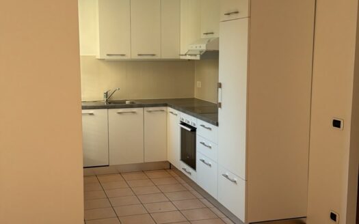 LUGANO – AFFITTASI APPARTAMENTO DI 3.5 LOCALI