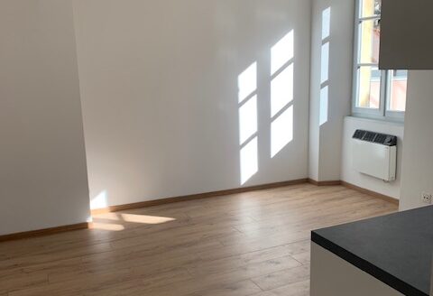 Affittasi appartamento di 1 locale – Bellinzona
