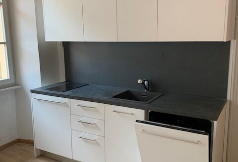 Affittasi appartamento di 1 locale – Bellinzona