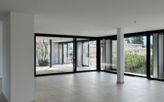 MASSAGNO – VENDESI LUMINOSO ATTICO DI 7 LOCALI