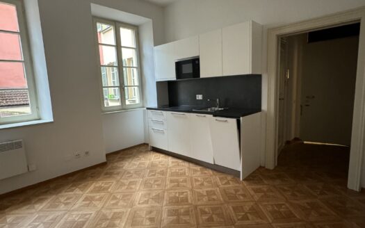 Affittasi monolocale – Bellinzona centro