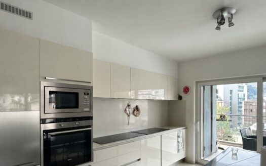 LUGANO – VENDESI APPARTAMENTO DI 3.5 LOCALI