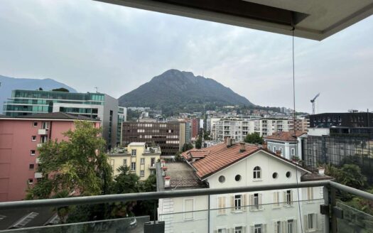 LUGANO – VENDESI APPARTAMENTO DI 3.5 LOCALI